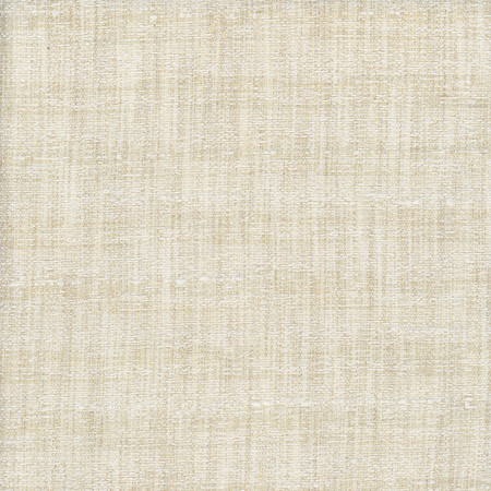 Carole Fabric Join Me Off White Alliance 100% Polyester India None 54"" - My Fabric Connection -