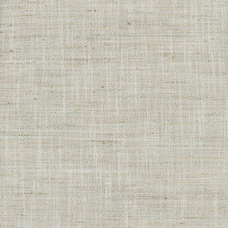 Carole Fabric There For You Flax Alliance 100% Polyester India None 55"" - My Fabric Connection -