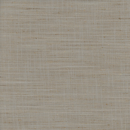 Carole Fabric There For You Stone Alliance 100% Polyester India None 55"" - My Fabric Connection -