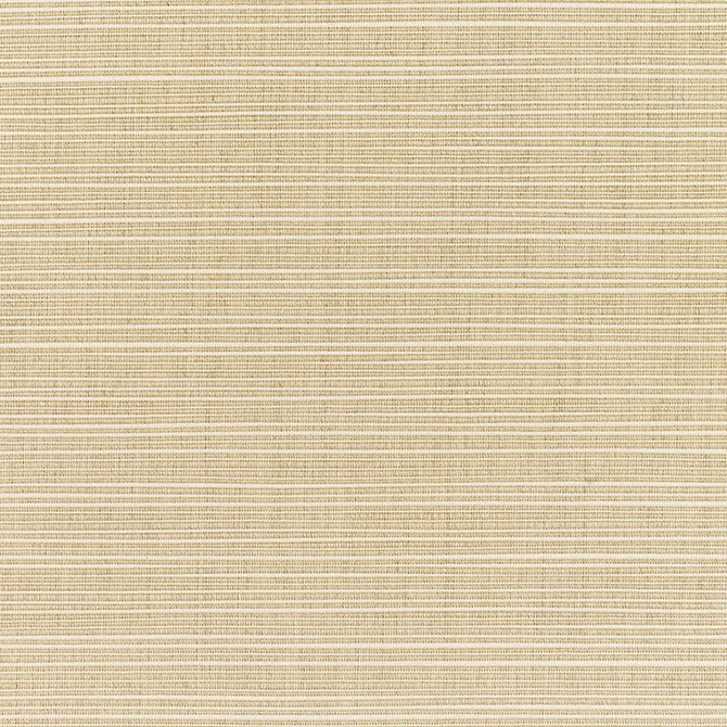 Sunbrella Fabric 8011  Dupione Sand our website for purchase 100% Sunbrella Acrylic USA (see sample) n/a - Fabric is railroaded 54"  - My Fabric Connection -