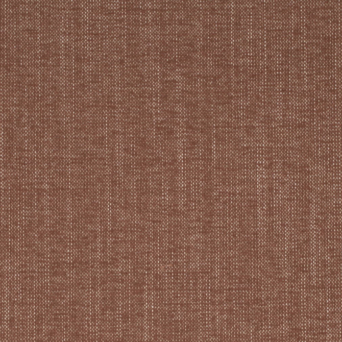 Charlotte Fabric D4162 Sienna