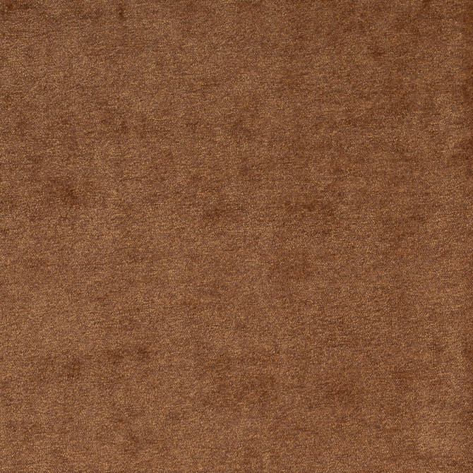 Charlotte Fabric D4197 Golden