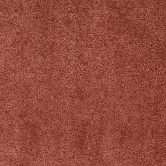 Charlotte Fabric D4198 Rust