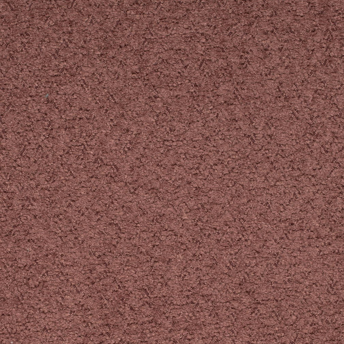Charlotte Fabric D4205 Mulberry