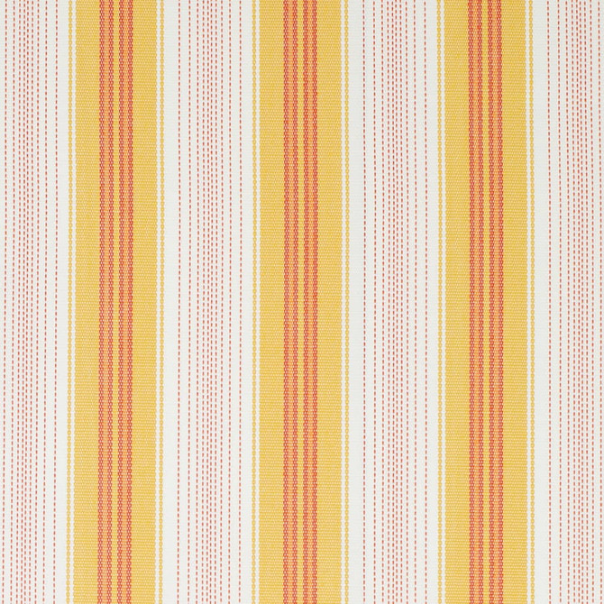 Charlotte Fabric D4301 Daffodil