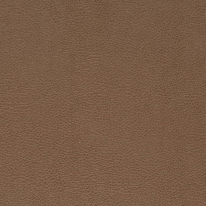Charlotte Fabric V869 Bronze