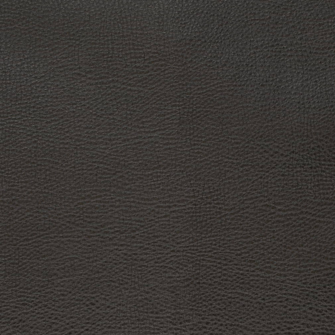 Charlotte Fabric V879 Ebony