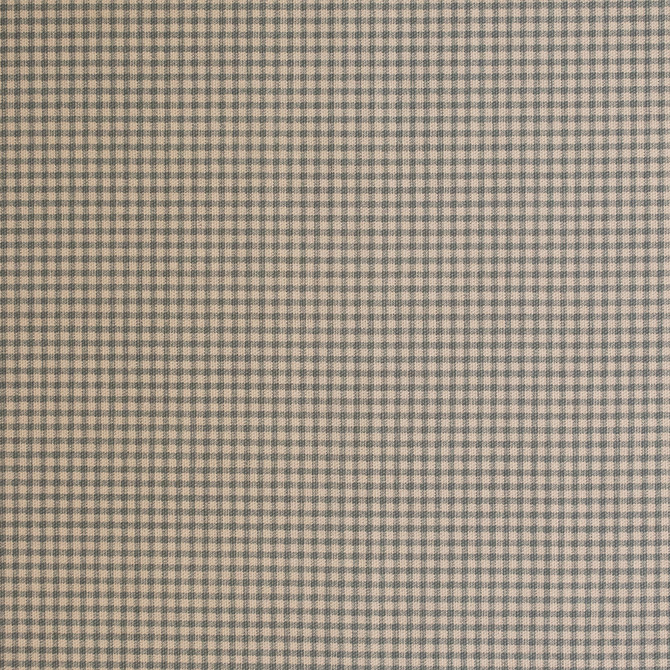 Greenhouse Fabric S6185 Lake 100% Cotton Pakistan 30,000 </p><p>Repeat: .2" H, .2" V 55" - My Fabric Connection -