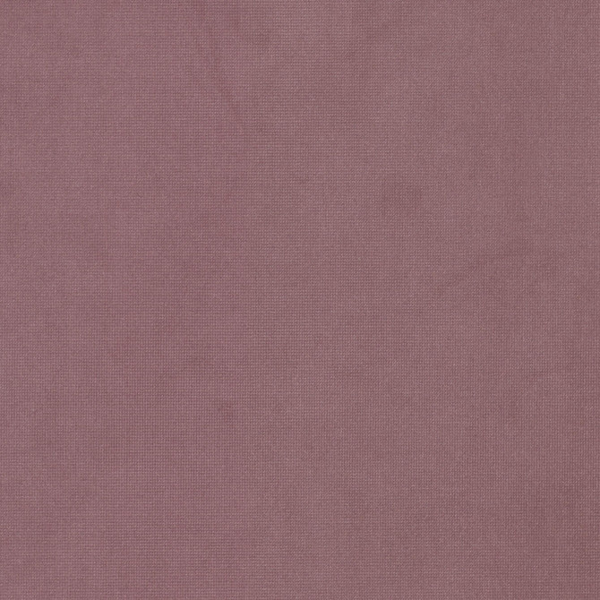 Stout Fabric Queen 17 Fuchsia Fabric 95%POL 5%COT CHINA FLAME RETARDANT-N.F.P.A. 260A CLASS 1 CATB 117-2013 WYZENBEEK 100 000 DOUBLE RUB WEAR TEST (HEAVY DUTY) </p><p>Repeat: H: 0.000, V: 0.000 54 in - My Fabric Connection -