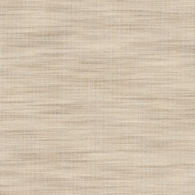 Stout Fabric Adair 2 Raffia Fabric 100%POL INDIA FLAME RETARDANT-U.F.A.C. CLASS 1 FLAME RETARDANT-N.F.P.A. 260A CLASS 1 CATB 117-2013 </p><p>Repeat: H: 0.000, V: 0.000 54.5 in - My Fabric Connection -