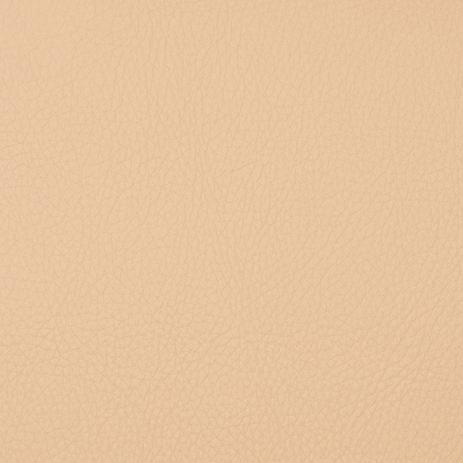 Magnolia Fabric Voyager Chickpea - 100% Pvc China 100,000+ Horizontal: 0 and Vertical: 0 54" - My Fabric Connection -