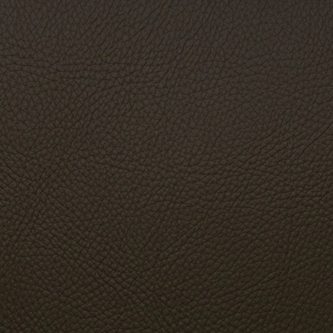 Magnolia Fabric Voyager Hunter - 100% Pvc China 100,000+ Horizontal: 0 and Vertical: 0 54" - My Fabric Connection -