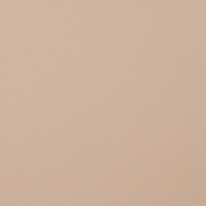 Magnolia Fabric Voyager Nougat - 100% Pvc China 100,000+ Horizontal: 0 and Vertical: 0 54" - My Fabric Connection -