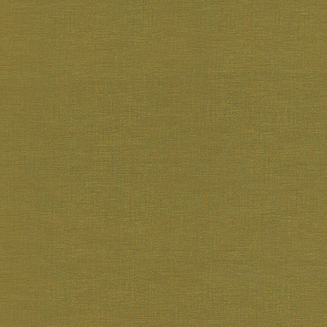 Maxwell Fabric Beaton-Nj 715 Cactus MEMOS ONLY-COATED FABRICS FACE: 100% SILICONE KOREA   54"  - My Fabric Connection -