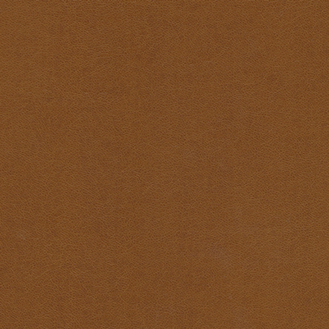 Maxwell Fabric Knack-Nj # 1276 Antelope Memos Only-Coated Fabrics FACE: 100% SILICONE BASE: 100% POLYURETHANE (POLYCARBONATE) BACKING: 65% POLYESTER
35% RAYON KOREA 54" - My Fabric Connection - Maxwell Fabric Knack-Nj # 1276 Antelope Memos Only-Coated Fabrics FACE: 100% SILICONE BASE: 100% POLYURETHANE (POLYCARBONATE) BACKING: 65% POLYESTER
35% RAYON KOREA 54" - My Fabric Connection -