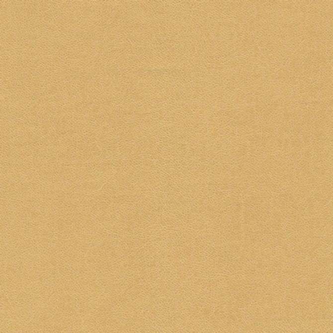 Maxwell Fabric Knack-Nj 1290 Desert MEMOS ONLY-COATED FABRICS FACE: 100% SILICONE
BASE: 100% POLYURETHANE (POLYCARBONATE)
BACKING: 65% POLYESTER KOREA   54"  - My Fabric Connection - Maxwell Fabric Knack-Nj 1290 Desert MEMOS ONLY-COATED FABRICS FACE: 100% SILICONE
BASE: 100% POLYURETHANE (POLYCARBONATE)
BACKING: 65% POLYESTER KOREA   54"  - My Fabric Connection -