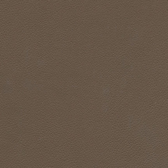 Maxwell Fabric Tannery-Nj # 103 Ground MEMOS ONLY-COATED FABRICS FACE: 100% POLYURETHANE
BACKING: 65% POLYESTER
35% RAYON KOREA 54" - My Fabric Connection -
