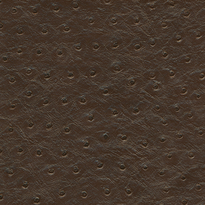 Maxwell Fabric Twitter-Nj # 289 Orca Memos Only-Coated Fabrics FACE: 100% PVC
BACKING: 65% POLYESTER
35% COTTON KOREA 54" - My Fabric Connection - Maxwell Fabric Twitter-Nj # 289 Orca Memos Only-Coated Fabrics FACE: 100% PVC
BACKING: 65% POLYESTER
35% COTTON KOREA 54" - My Fabric Connection -