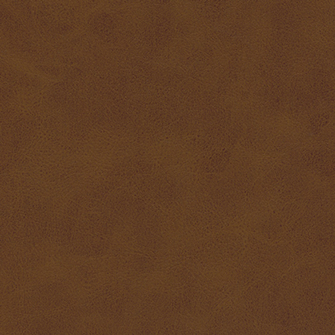 Maxwell Fabric Bonifacio-Nj # 428 Hide MEMOS ONLY-COATED FABRICS FACE: 100% POLYURETHANE
BACKING: 65% POLYESTER
35% COTTON CHINA 54" - My Fabric Connection -