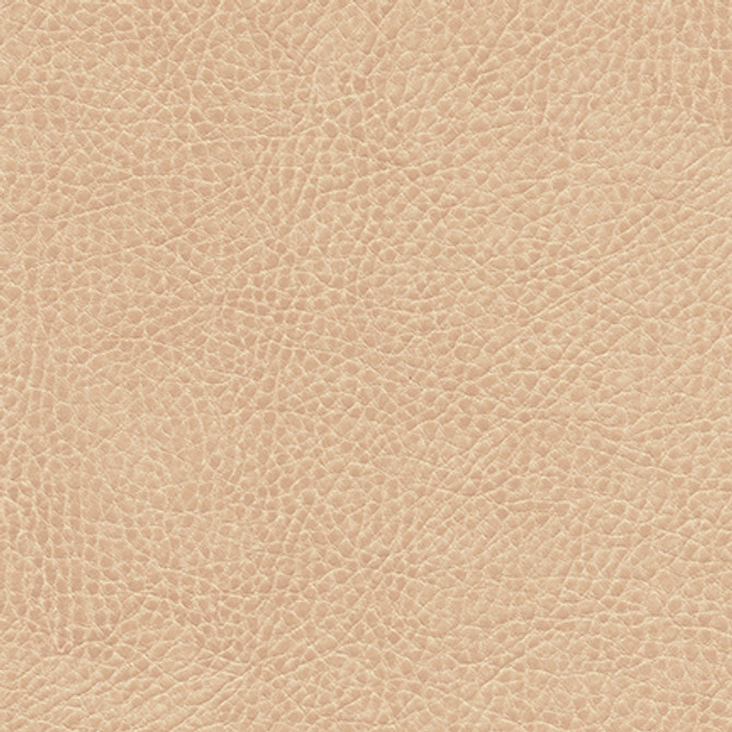 Maxwell Fabric Fairbanks-Nj 422 Bread MEMOS ONLY-COATED FABRICS FACE: 100% POLYURETHANE BACKING: 65% POLYESTER CHINA   54"  - My Fabric Connection - Maxwell Fabric Fairbanks-Nj 422 Bread MEMOS ONLY-COATED FABRICS FACE: 100% POLYURETHANE BACKING: 65% POLYESTER CHINA   54"  - My Fabric Connection -