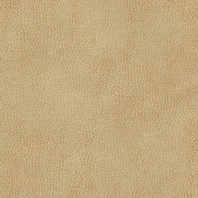 Maxwell Fabric Hermitage-Nj # 1295 Latte MEMOS ONLY-COATED FABRICS FACE: 100% POLYURETHANE
BACKING: 100% POLYESTER KOREA 54" - My Fabric Connection -