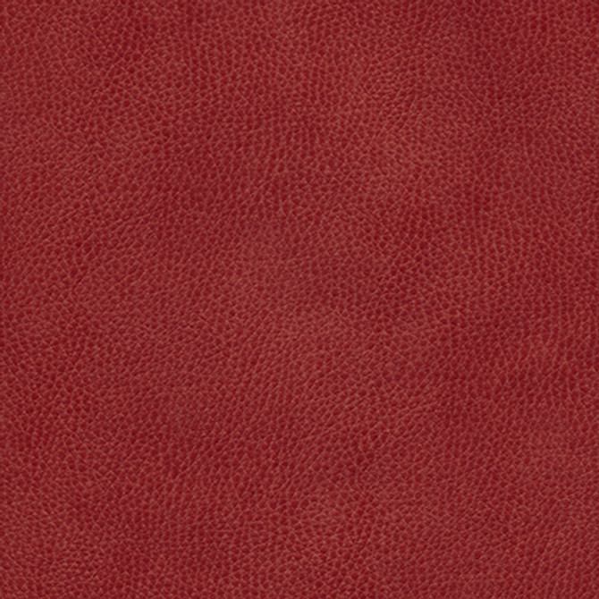 Maxwell Fabric Hermitage-Nj 1306 Red Velvet MEMOS ONLY-COATED FABRICS FACE: 100% POLYURETHANE KOREA   54"  - My Fabric Connection -