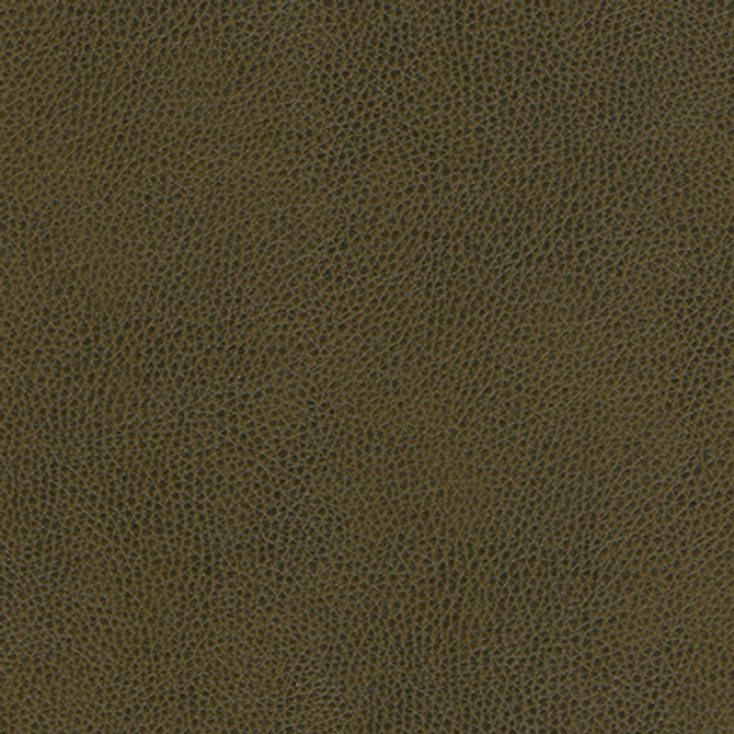 Maxwell Fabric Hermitage-Nj 1307 Forest MEMOS ONLY-COATED FABRICS FACE: 100% POLYURETHANE KOREA   54"  - My Fabric Connection -