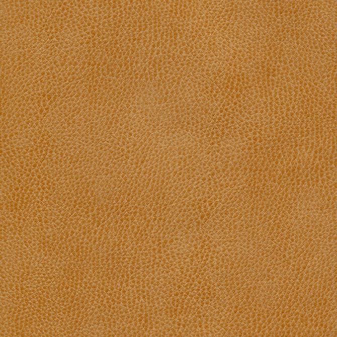 Maxwell Fabric Hermitage-Nj # 1318 Marigold Memos Only-Coated Fabrics FACE: 100% POLYURETHANE
BACKING: 100% POLYESTER KOREA 54" - My Fabric Connection -