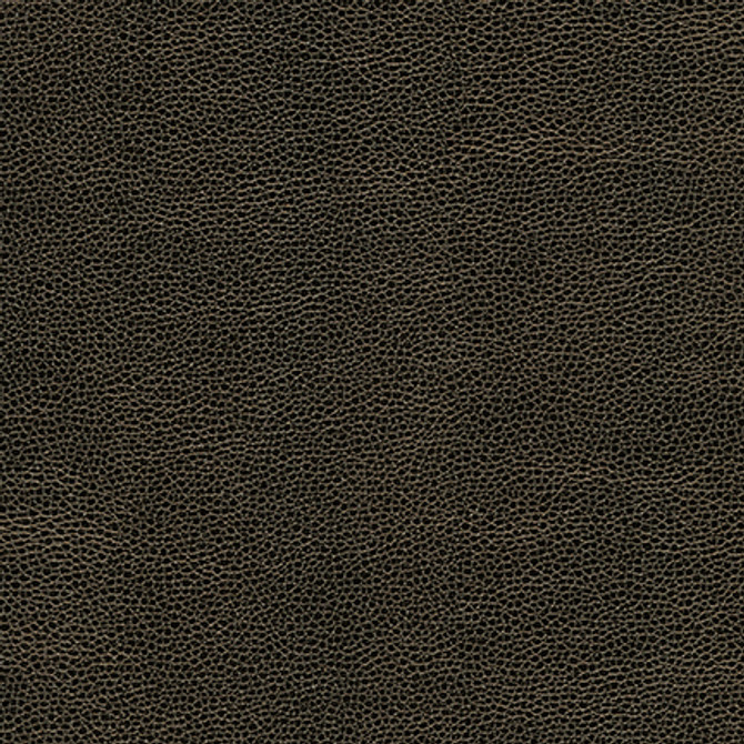 Maxwell Fabric Rambutan-Nj # 758 Soot MEMOS ONLY-COATED FABRICS FACE: 100% POLYURETHANE
BACKING: 100% POLYESTER KOREA 54" - My Fabric Connection -