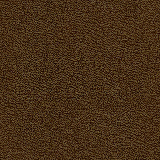 Maxwell Fabric Rambutan-Nj # 772 Husk Memos Only-Coated Fabrics FACE: 100% POLYURETHANE
BACKING: 100% POLYESTER KOREA 54" - My Fabric Connection - Maxwell Fabric Rambutan-Nj # 772 Husk Memos Only-Coated Fabrics FACE: 100% POLYURETHANE
BACKING: 100% POLYESTER KOREA 54" - My Fabric Connection -