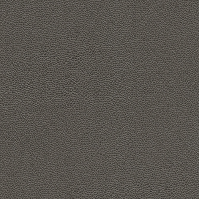 Maxwell Fabric Rambutan-Nj # 779 Graphite MEMOS ONLY-COATED FABRICS FACE: 100% POLYURETHANE
BACKING: 100% POLYESTER KOREA 54" - My Fabric Connection -