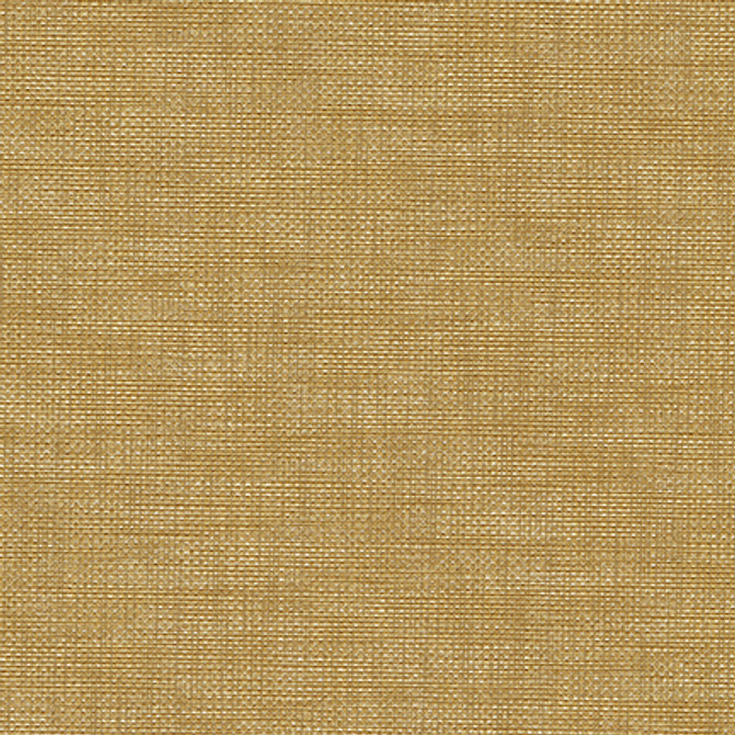 Maxwell Fabric Joss-Nj # 1061 Lemon MEMOS ONLY-COATED FABRICS FACE: 100% POLYURETHANE
BACKING: 100% POLYESTER KOREA 54" - My Fabric Connection -