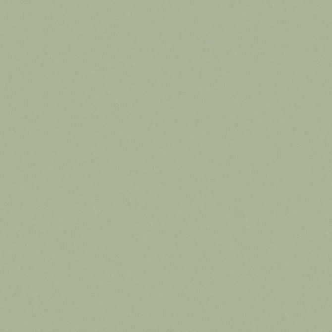 Maxwell Fabric Zaitun 517 Linden PURE & SIMPLE XVI 100% ORGANIC COTTON INDIA   55"  - My Fabric Connection - Maxwell Fabric Zaitun 517 Linden PURE & SIMPLE XVI 100% ORGANIC COTTON INDIA   55"  - My Fabric Connection -