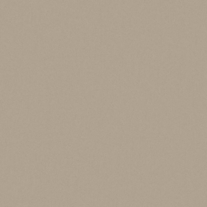 Maxwell Fabric Zaitun # 550 Funghi Pure & Simple Xvi 100% ORGANIC COTTON INDIA 55" - My Fabric Connection -