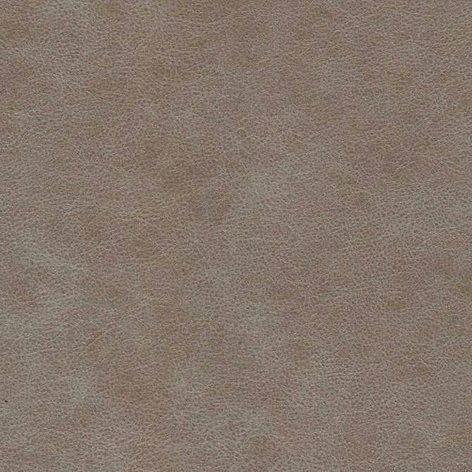 Maxwell Fabric Hoth-Nj # 704 Mollusk Memos Only-Coated Fabrics FACE: 100% PVC
BACKING: 100% POLYESTER VIETNAM 54" - My Fabric Connection -