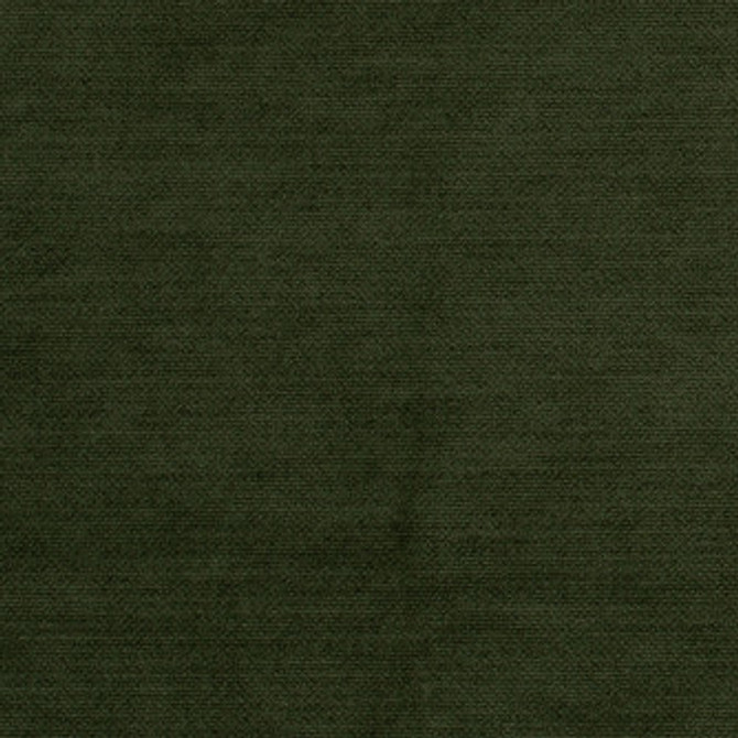 Mitchell Fabric Comfy Turtle #2403 100% Polyester with Alta DWR PFAS free Imported </p><p>Repeat: Horizontal: and Vertical: 55 - My Fabric Connection -