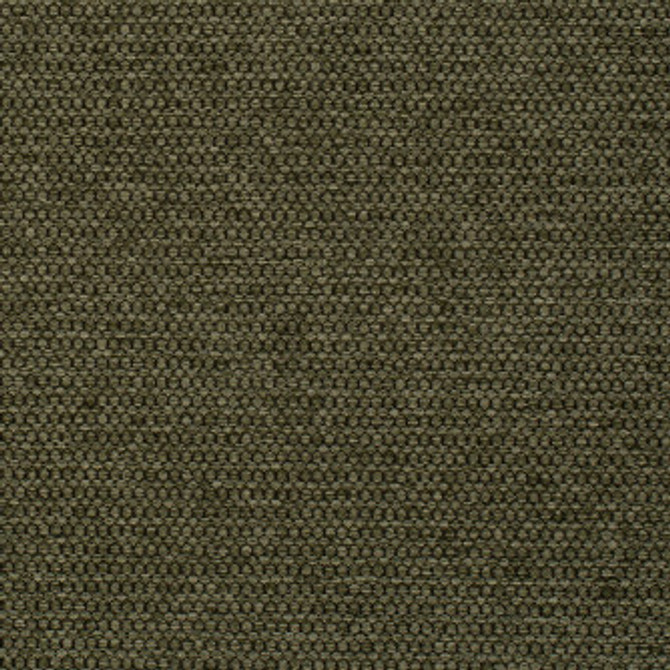 Mitchell Fabric Sampson Turtle #2308 90% Poly, 10% Nylon with Alta DWR PFAS-Free finish Imported </p><p>Repeat: Horizontal: and Vertical: 55 - My Fabric Connection -