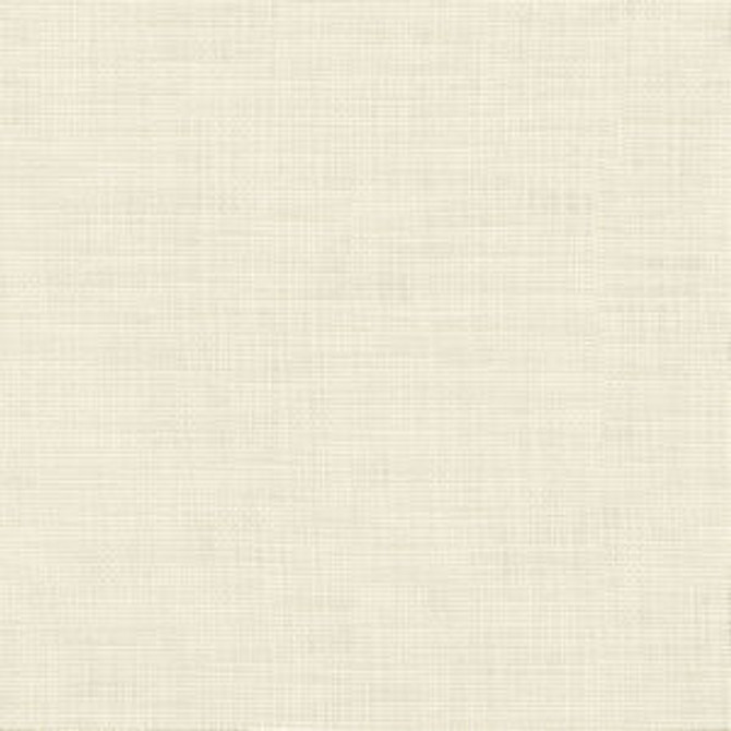 Norbar Fabric Conway Cream FAMOUS 100% COTTON PAKISTAN 54 - My Fabric Connection - Norbar Fabric Conway Cream FAMOUS 100% COTTON PAKISTAN 54 - My Fabric Connection -