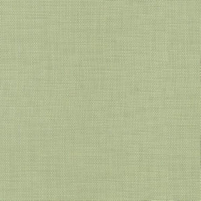 Norbar Fabric Conway Sage FAMOUS 100% COTTON PAKISTAN 54 - My Fabric Connection -