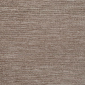 Norbar Fabric Gazette Dune 259 GAZETTE 100 PLYESTER INDIA 1/8"V 54 - My Fabric Connection -