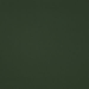 Norbar Fabric Mascot Grass MASCOT 100% POLYCARBONATE 54 - My Fabric Connection -