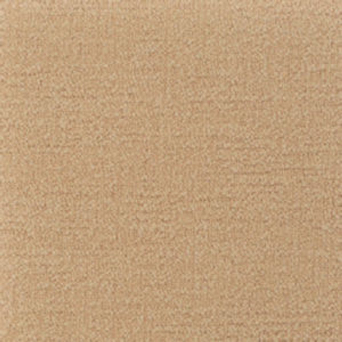 Norbar Fabric Prezzo Soft Petal 566 PREZZO 100% POLYESTER INDIA 54 - My Fabric Connection - Norbar Fabric Prezzo Soft Petal 566 PREZZO 100% POLYESTER INDIA 54 - My Fabric Connection -