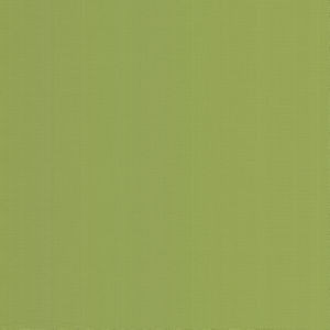 Norbar Fabric Georgia Kiwi SUNSHINE 100% HIGH UV POLYESTER USA 56 - My Fabric Connection -