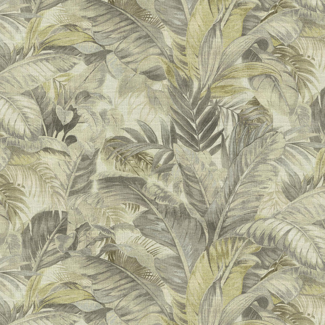 TOMMY BAHAMA Fabric Nassau Coconut 880211 - 100% cotton Peru 30000 Horizontal: 27 and Vertical: 25.25 54 - My Fabric Connection -