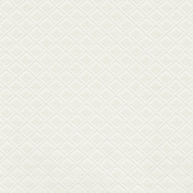 P/K LIFESTYLES Fabric Rare Gem White 471259 - 100% polyester India 51000 Horizontal: 1.25 and Vertical: 1.12 54 - My Fabric Connection -