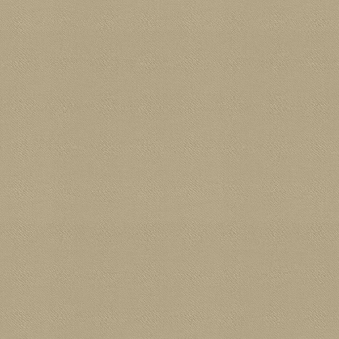 P/K LIFESTYLES Fabric Raya Driftwood 471425 - 100% recycled polyester India 51000 Horizontal: 0 and Vertical: 0 56 - My Fabric Connection -