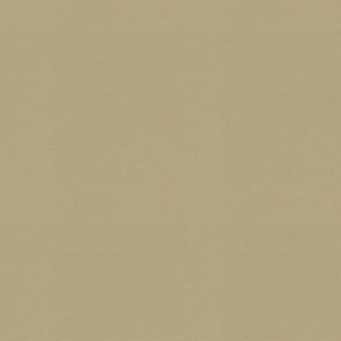 P/K LIFESTYLES Fabric Raya Sesame 471427 - 100% recycled polyester India 51000 Horizontal: 0 and Vertical: 0 56 - My Fabric Connection -