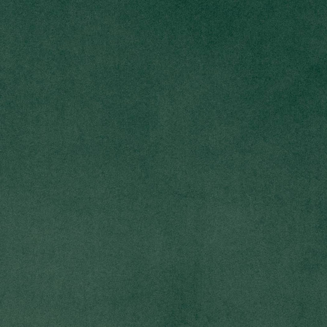 Charlotte Fabric D4517 Pine Sueded Velvet 100% Polyester, Fleece Backing Asia </p><p>Repeat: No Repeat 54 Inches - My Fabric Connection - Charlotte Fabric D4517 Pine Sueded Velvet 100% Polyester, Fleece Backing Asia </p><p>Repeat: No Repeat 54 Inches - My Fabric Connection -