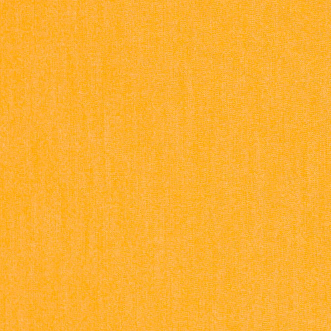 Charlotte Fabric D3459 Cabana 100% Solution Dyed Acrylic Asia Exceeds 120,000 Wyzenbeek Rubs (Heavy Duty) No Repeat 54 Inches - My Fabric Connection -