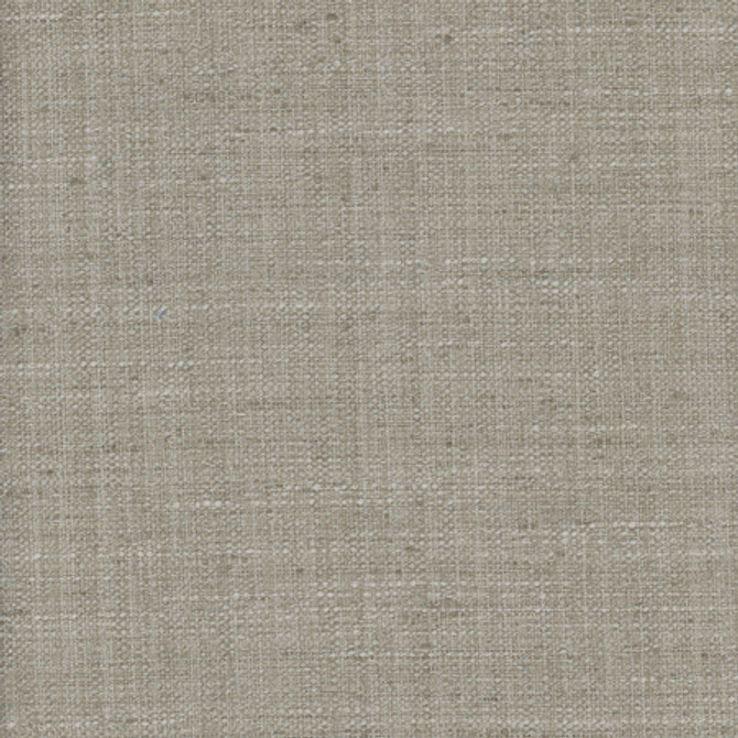 <p>Carole Fabric The Reason Is Taupe</p><p><strong>Required Minimum Quantity Purchase: 2 yards</strong></p><p>Book: Desert Sands</p><p>Content: 100% Polyester</p><p>Origin: </p><p>Performance: N/A</p><p>Repeat: None</p><p>Width: 54""</p>